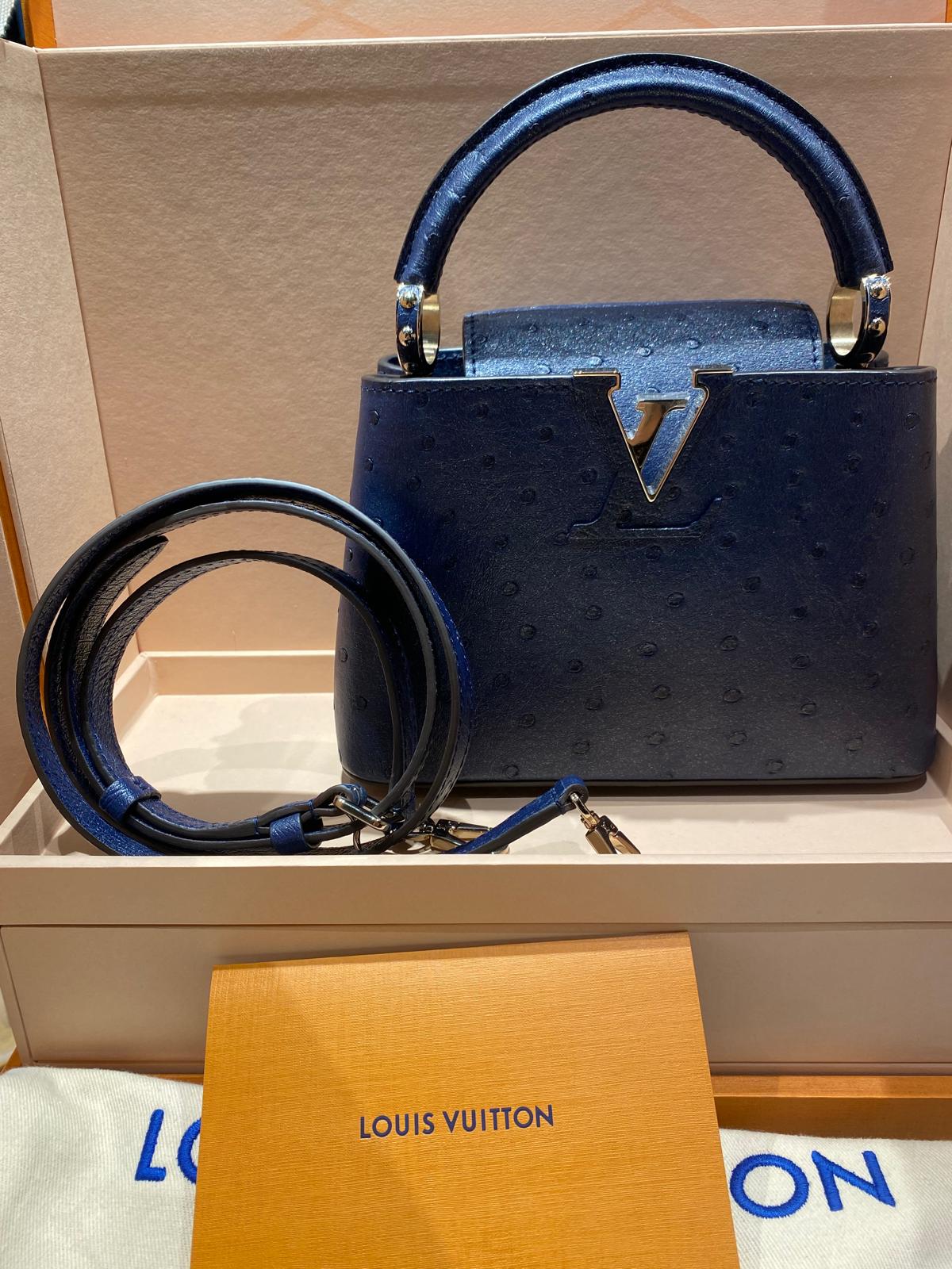 Louis Vuitton Capucines Mini Struzzo