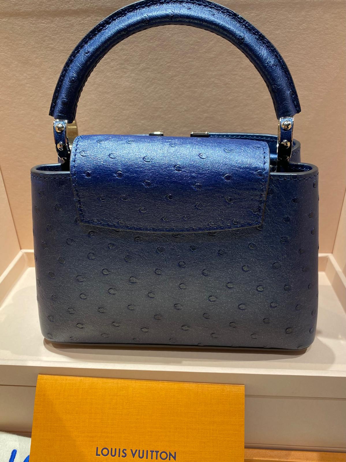Louis Vuitton Capucines Mini Struzzo