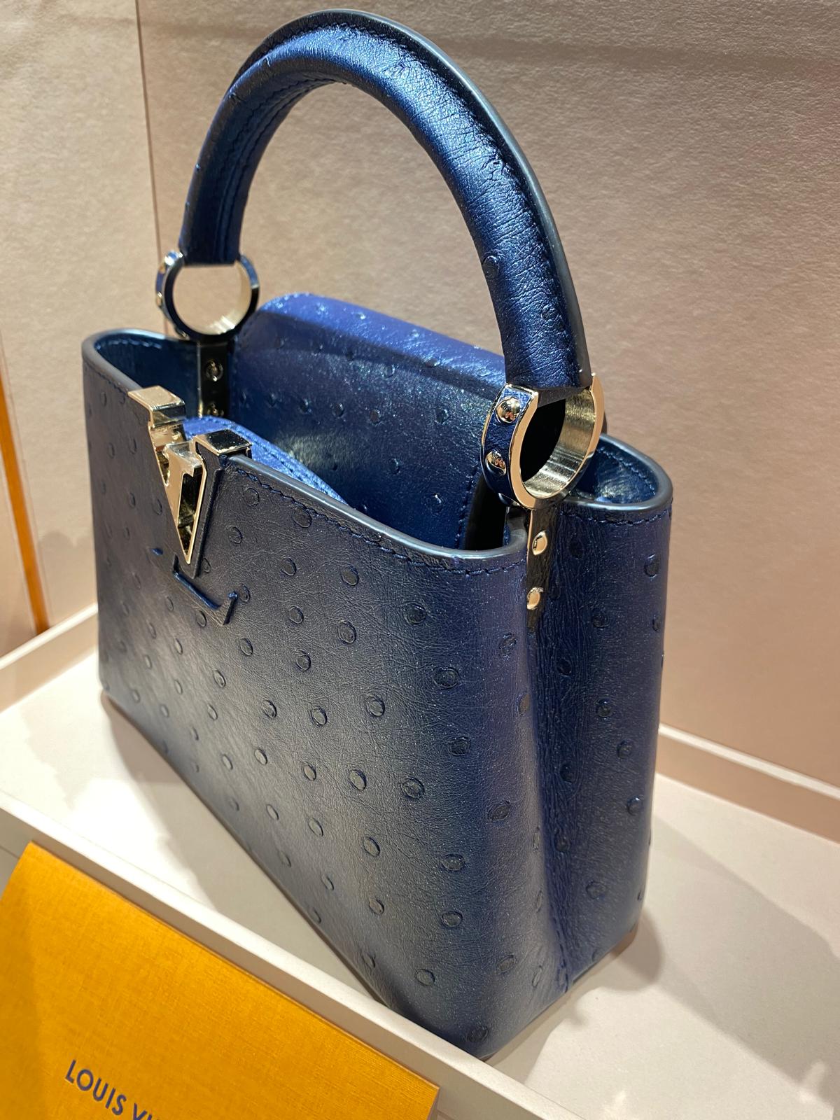 Louis Vuitton Capucines Mini Struzzo