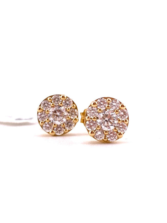 Orecchini Risivi&Co Oro Giallo