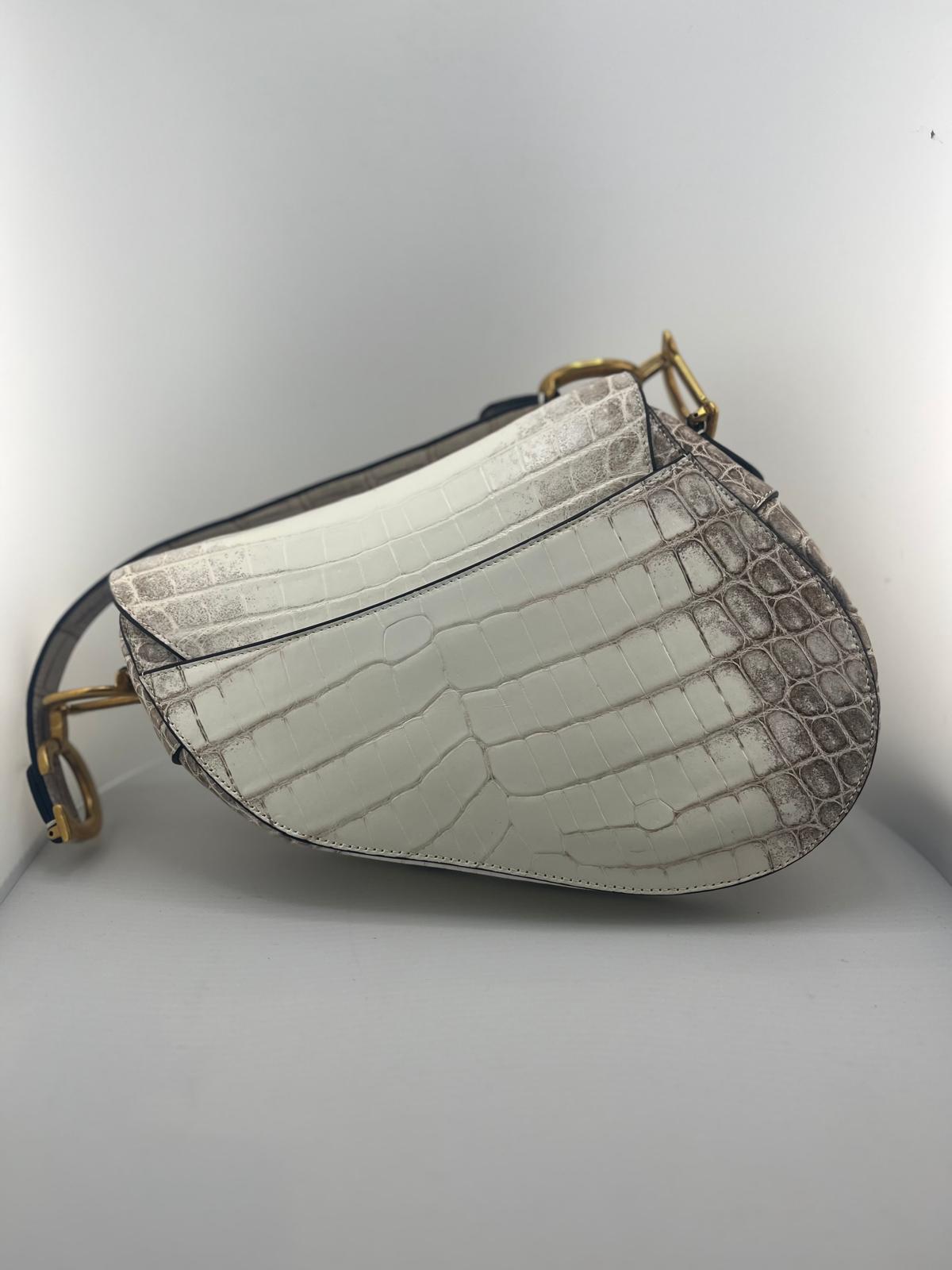 DIOR SADDLE COCCO HIMALAYA