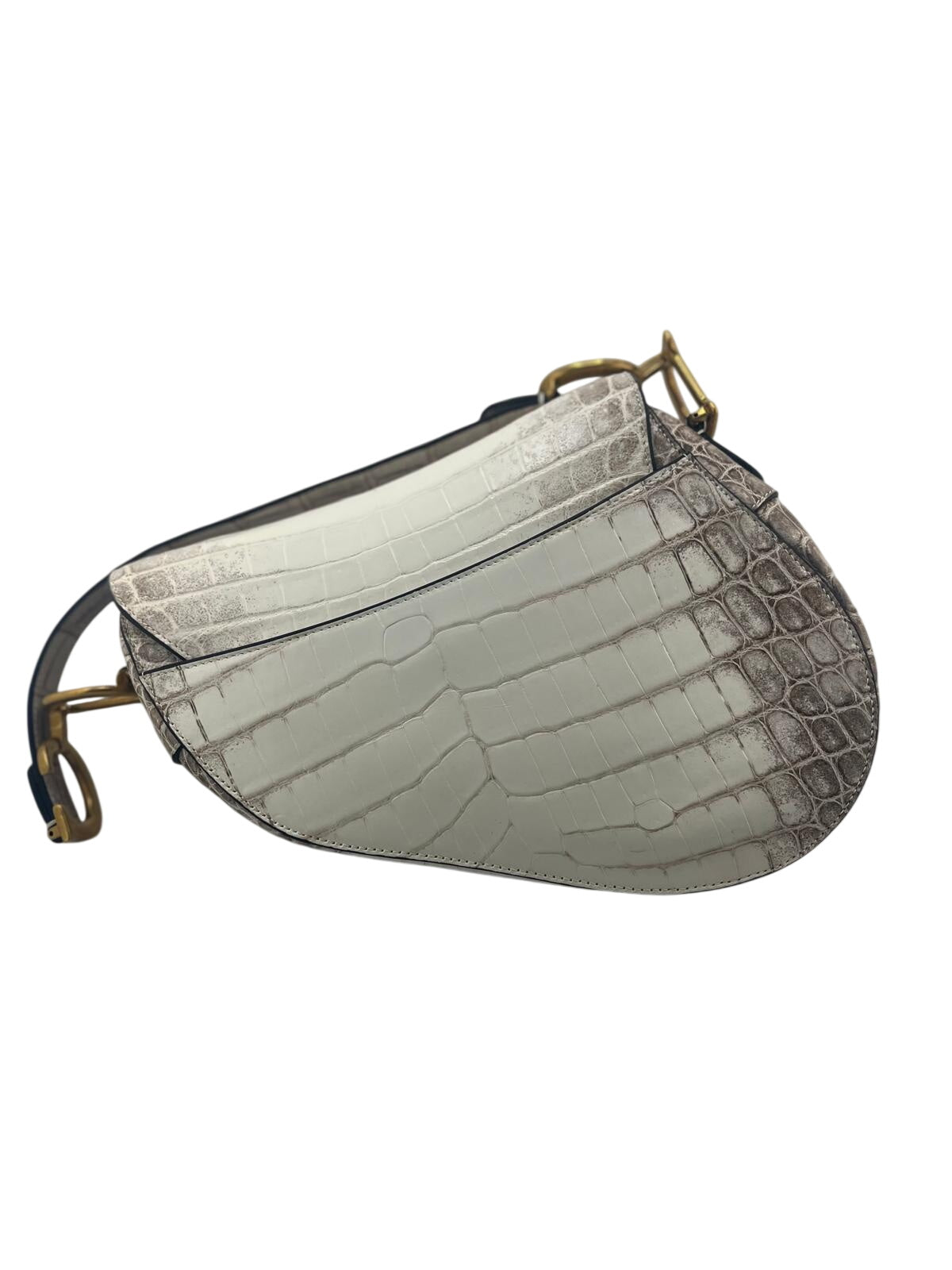 DIOR SADDLE COCCO HIMALAYA